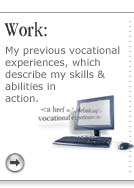 Work (vocational experience)